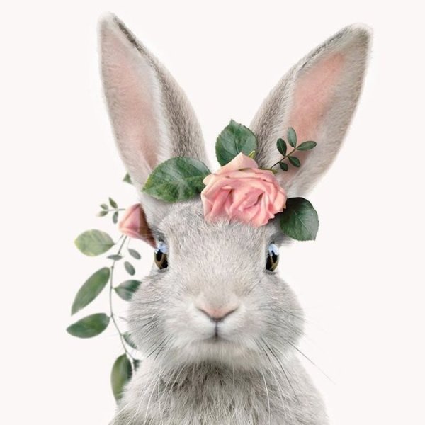 Постер заяц в скандинавском стиле