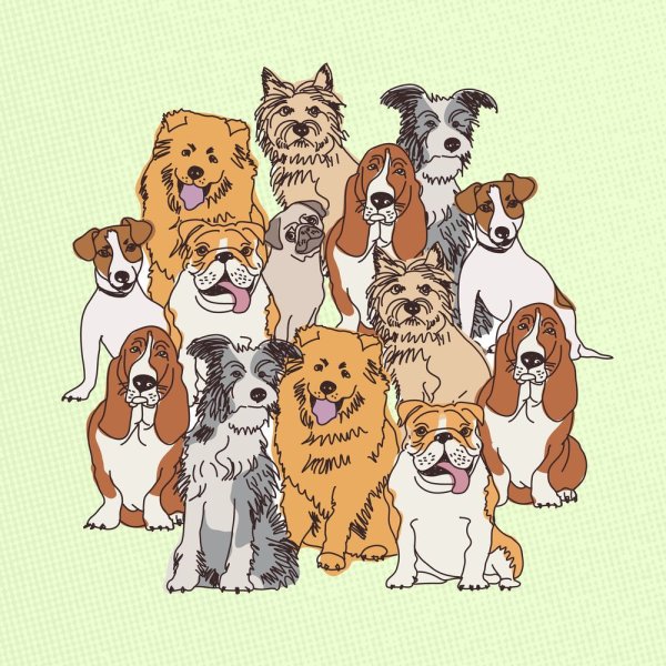 Щенки группа музыкальная