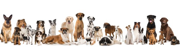 Концертный плакат Nirvana