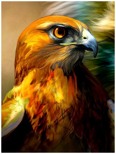 Орёл рисунок цветной