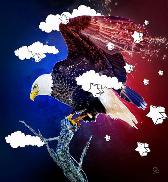 Креативный плакат с орлом