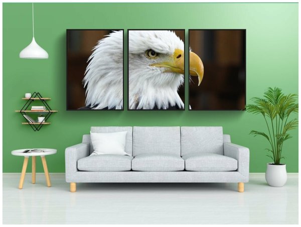 Венецианский Орел птица