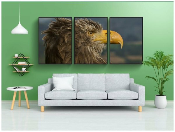 Плакат с орлом