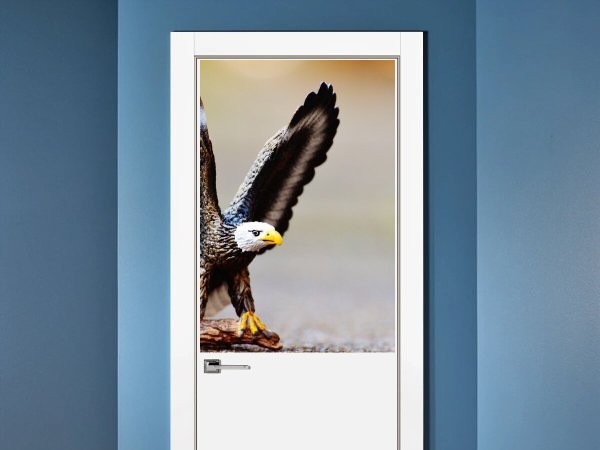 Плакат с орлом