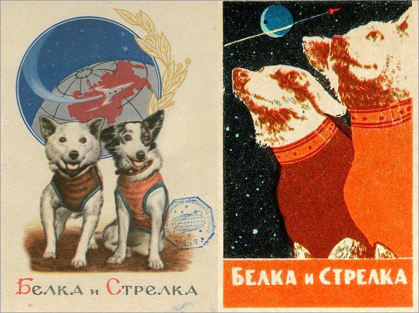 Белка и стрелка марка