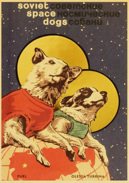 Белка и стрелка плакат