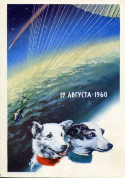 Плакат белка и стрелка 1960