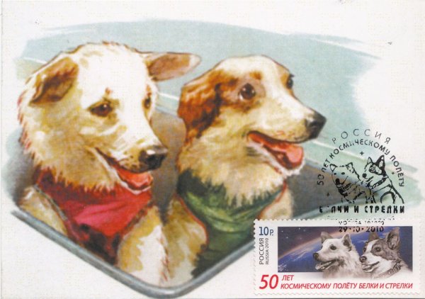 Белка и стрелка плакаты СССР