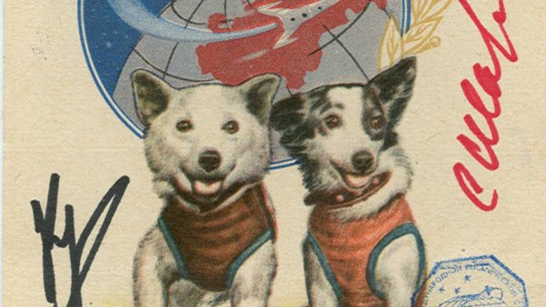 Рисунок белки и стрелки