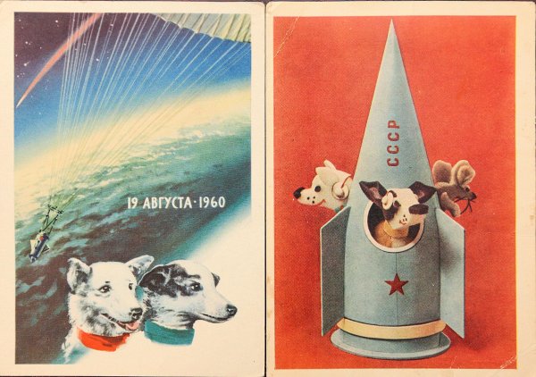 Белка и стрелка плакат