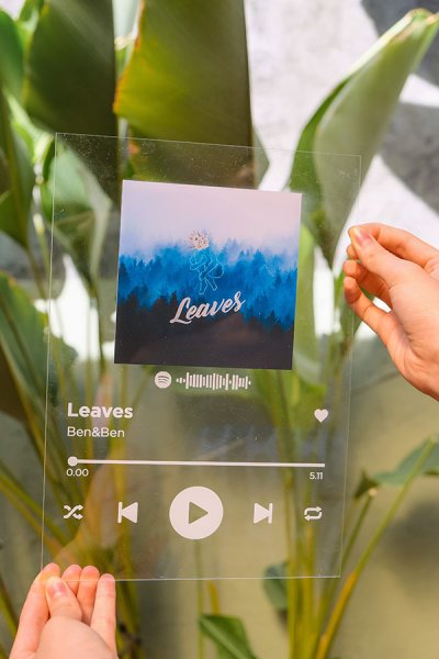 Спотифай на стекле