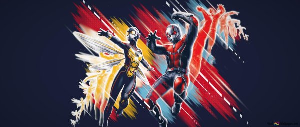 Постер фильма человек муравей и Оса