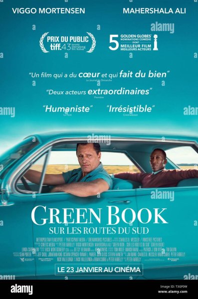 Зеленая книга плакат