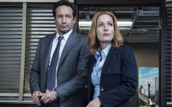 7.17 Секретные материалы Колин