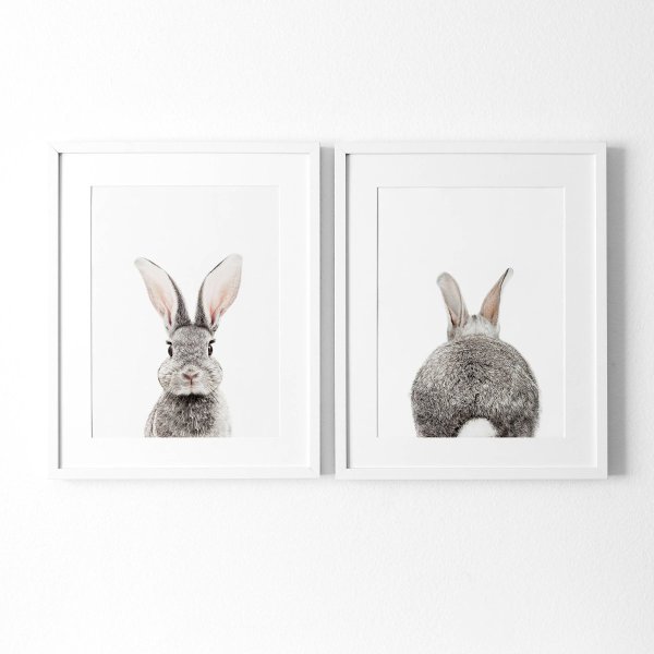 Кролик спереди и сзади