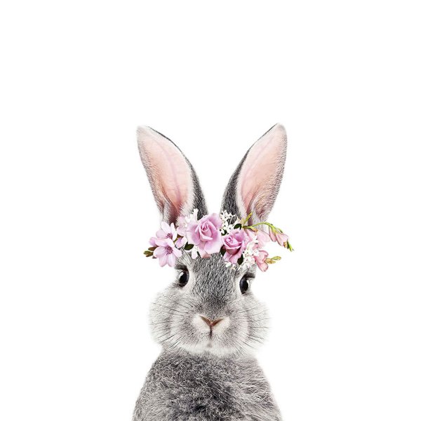 Кролик в веночке