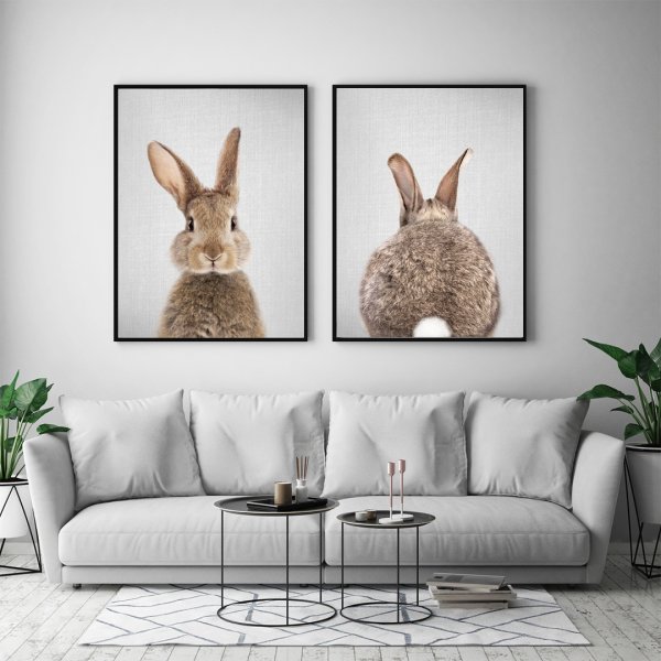 Кролик в интерьере