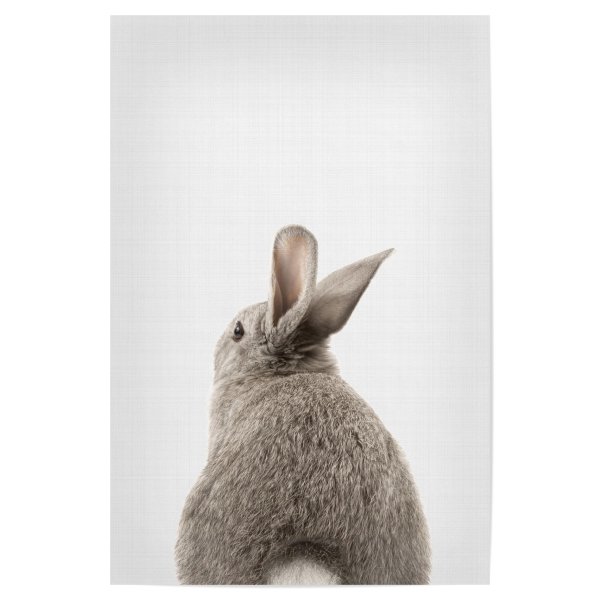 Постер заяц для печати