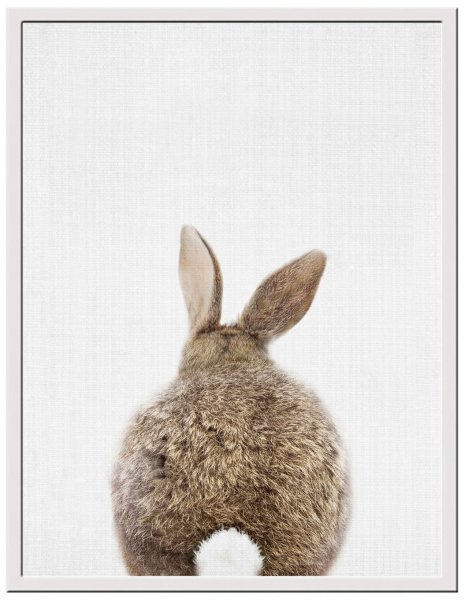 Заяц хваста