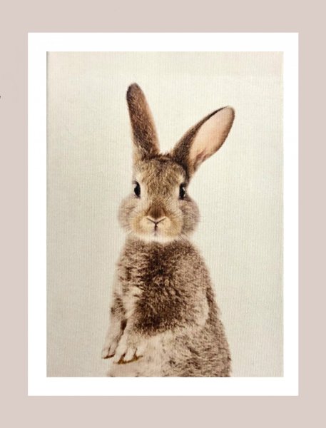Постеры на стену с кроликами