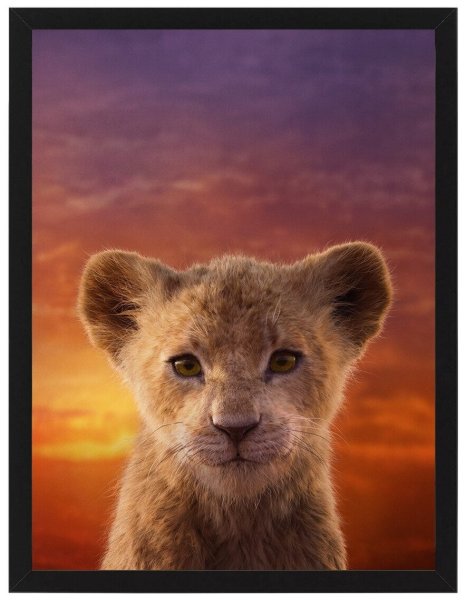 Король Лев мультфильм 1994 Король