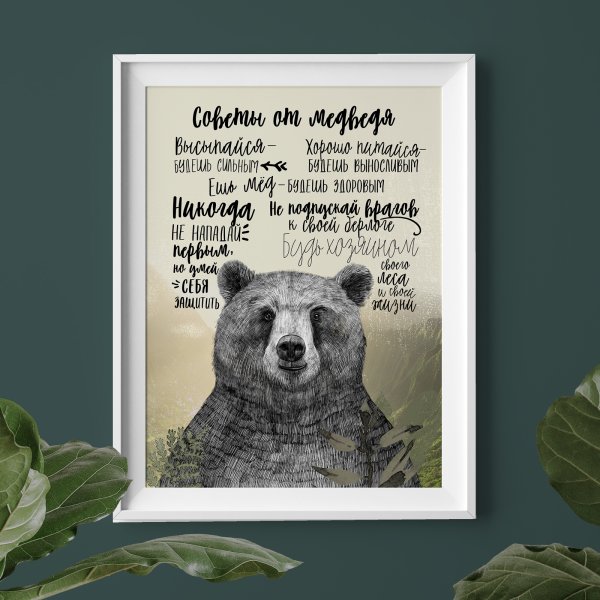 Плакат Bears