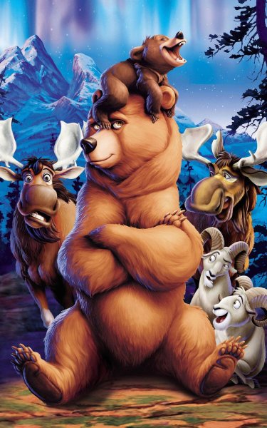 Братец Медвежонок 2003