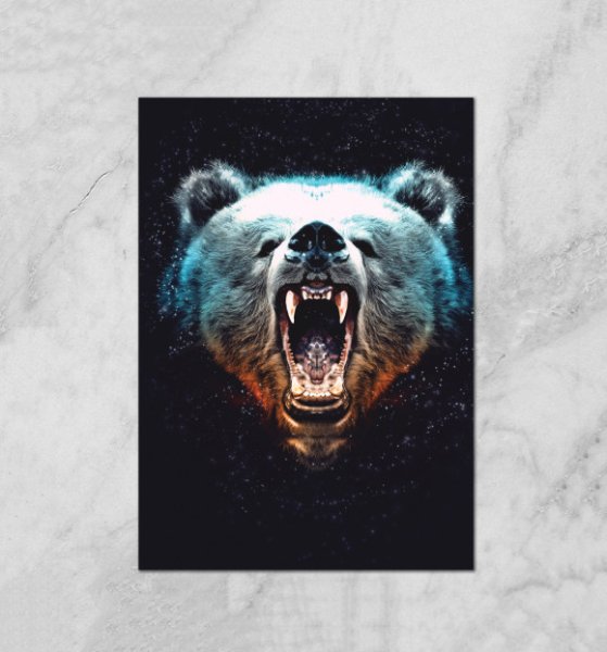 Постер медведь