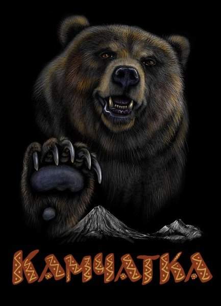 Плакаты с изображением медведя