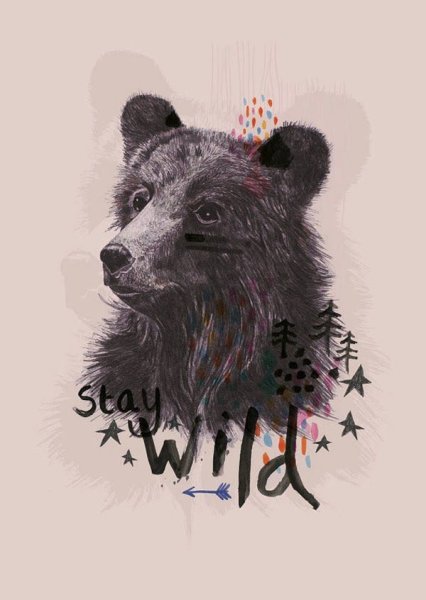 Братец Медвежонок 2003 Постер