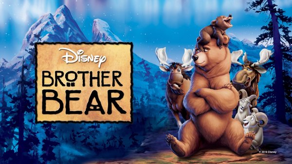 Панда в боксерских перчатках