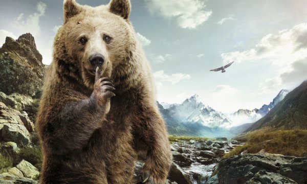 Братец Медвежонок Постер