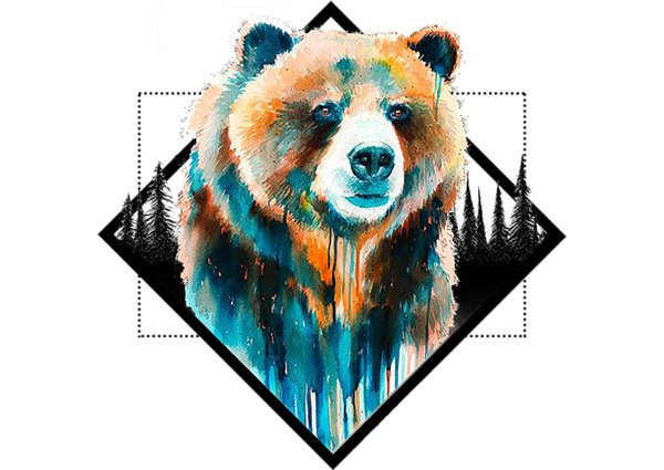 Плакат медведь