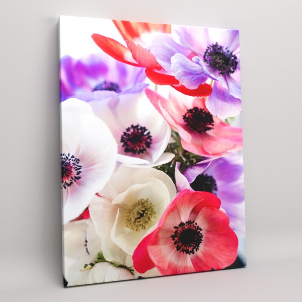 Холст цветы