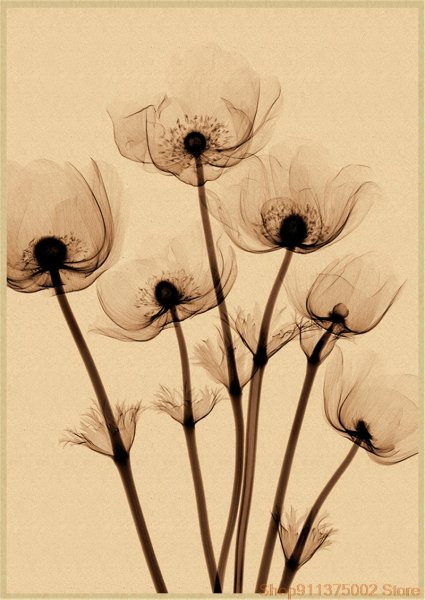 Тропические цветы картины