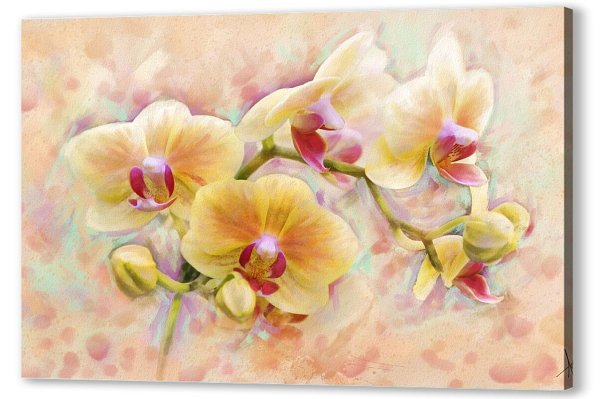 Цветы Lisa Audit