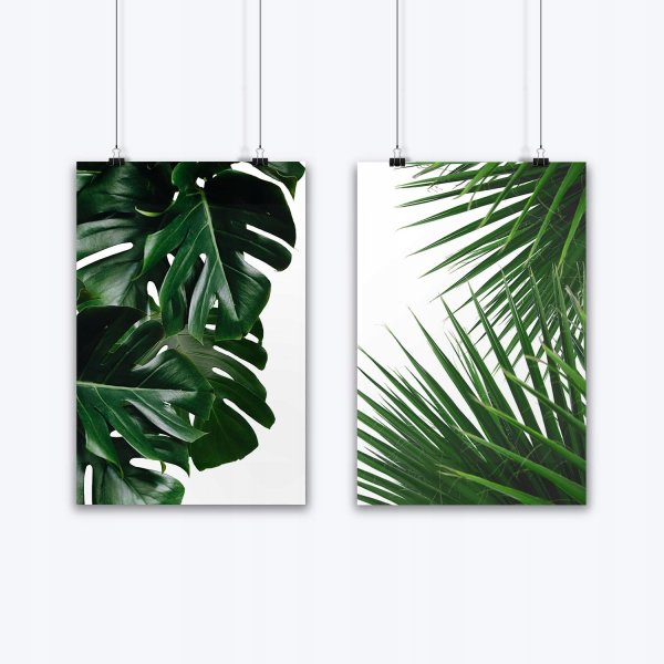 Постер Сканди Monstera