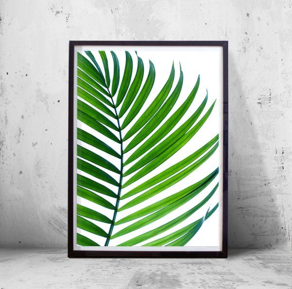 Панно листья пальмы