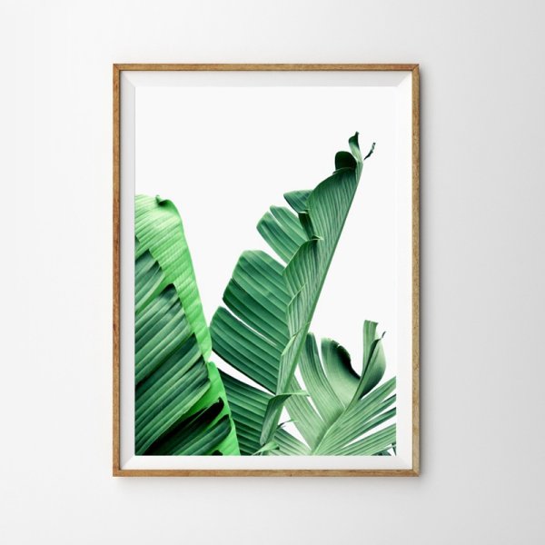 Постеры в зеленых тонах