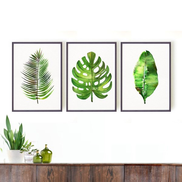 Постер Сканди Monstera