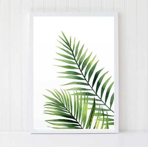 Картина листья пальмы