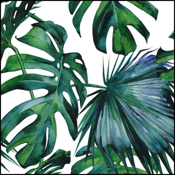 Принт Урбан Джангл монстера