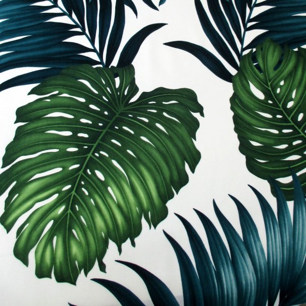 Тропические лист Monstera