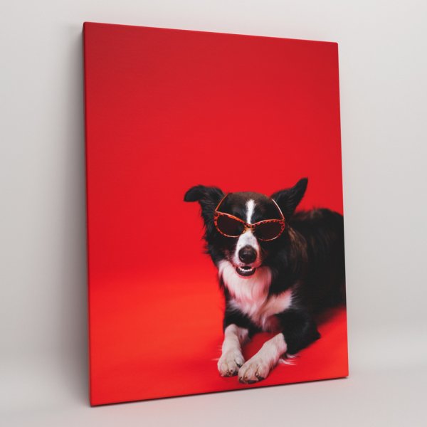 Стаффорд акварелью