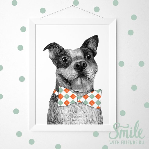 Плакат породы собак