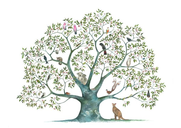 Murello Guest book Amazon