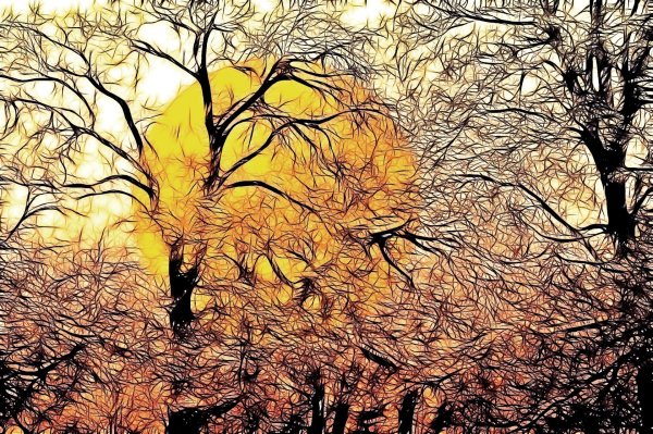 Постер дерево желаний