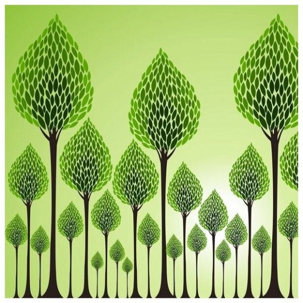 Разноцветное дерево