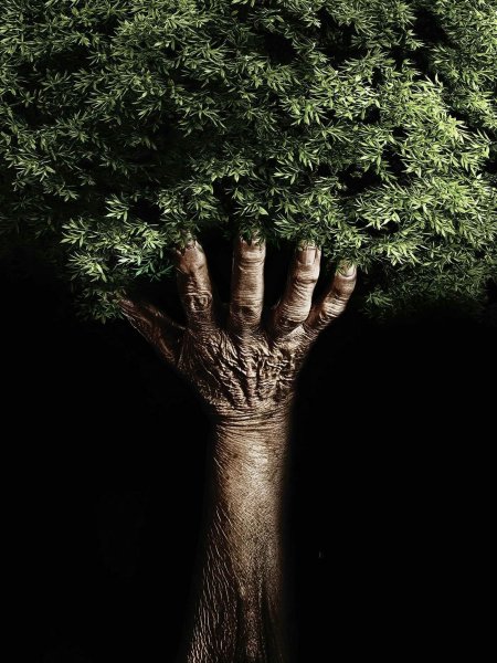 Дерево с ладошками