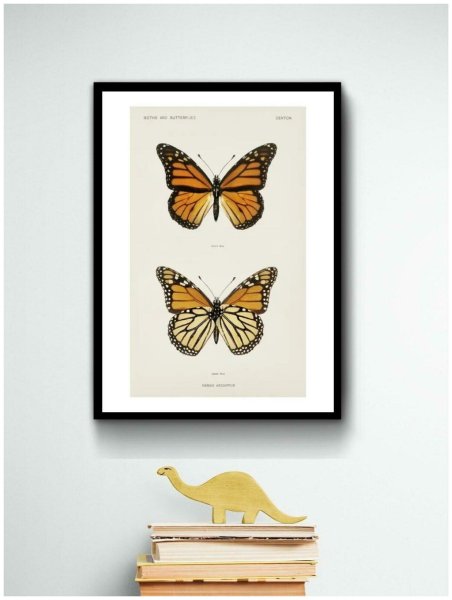 Постеры на стену бабочки